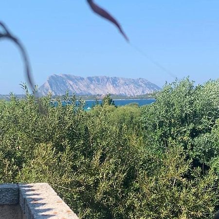 La Cinta Villa San Teodoro  Eksteriør billede