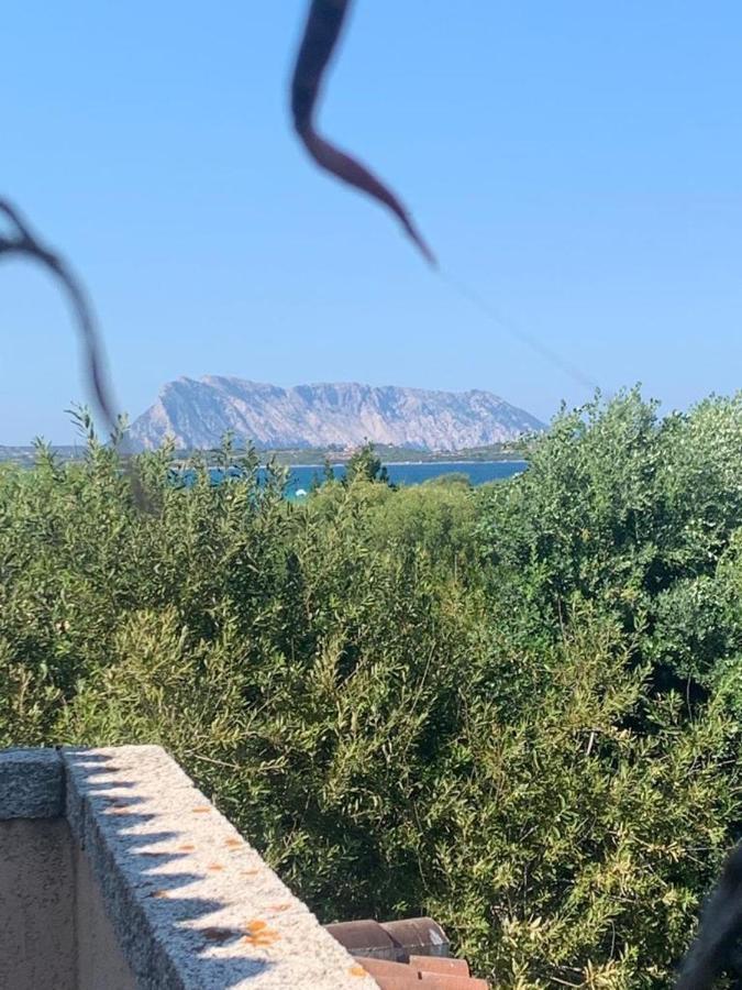 La Cinta Villa San Teodoro  Eksteriør billede
