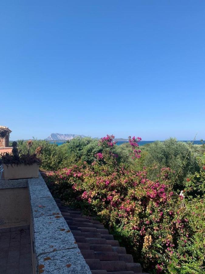 La Cinta Villa San Teodoro  Eksteriør billede